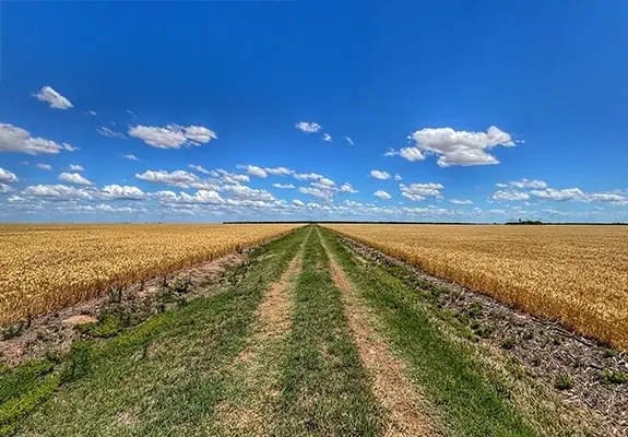 Inmobiliaria Rural